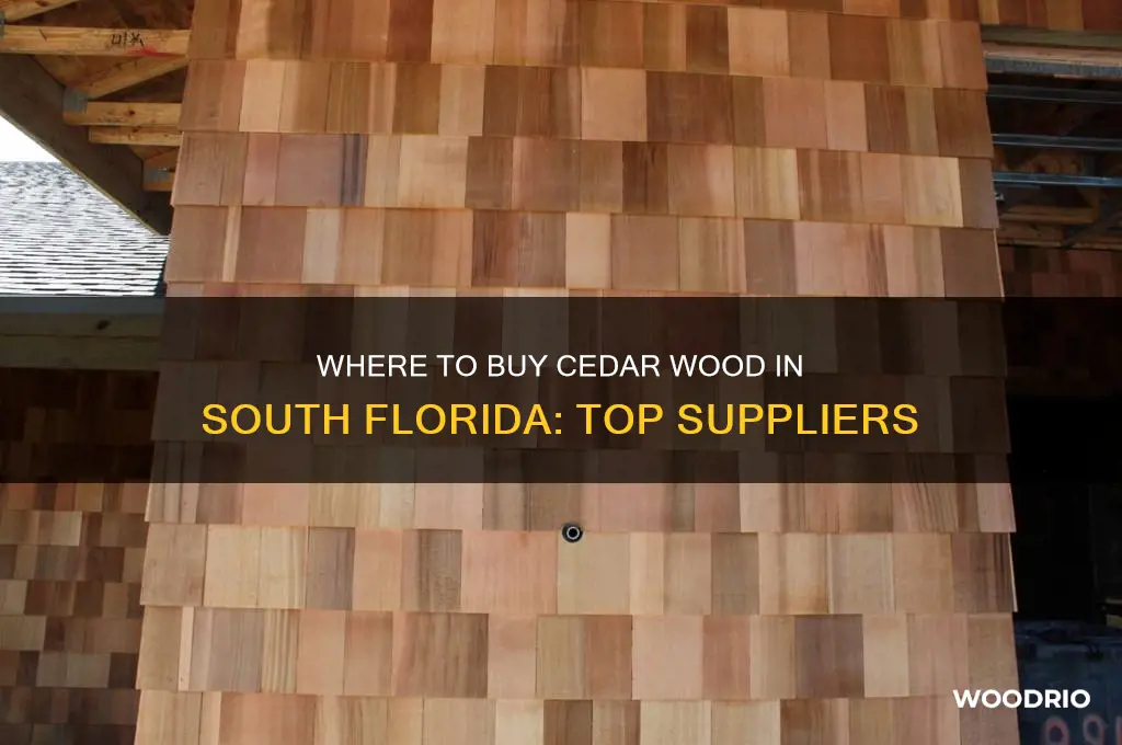 where can i buy cedar wood in south florida
