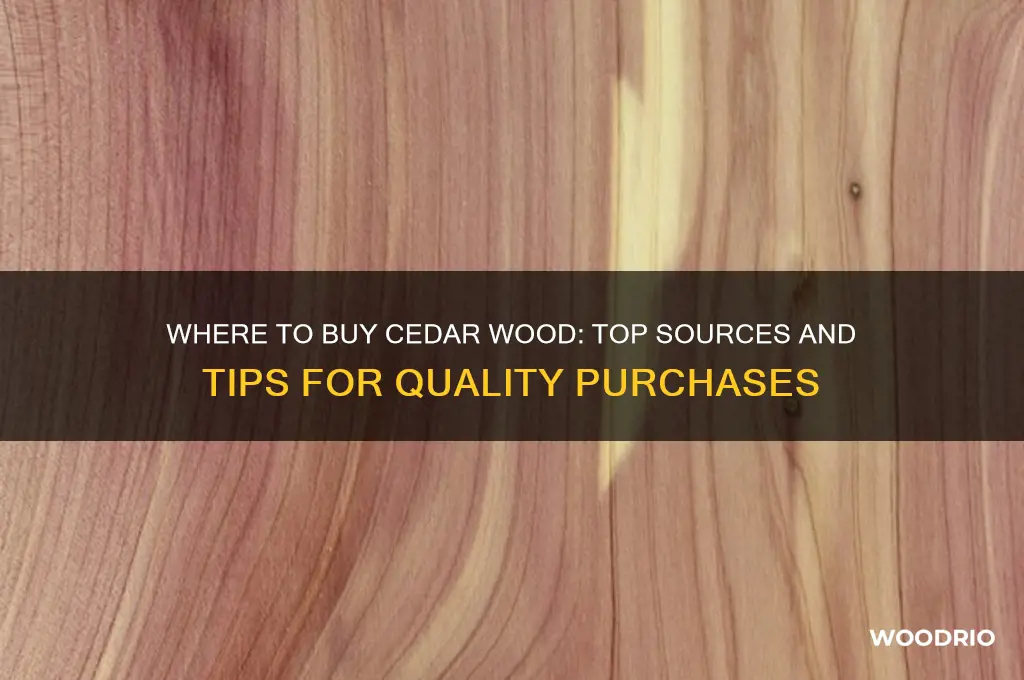 where can i buy cedar wood