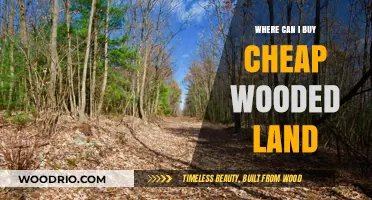 Affordable Wooded Land for Sale: Where to Find Your Dream Property
