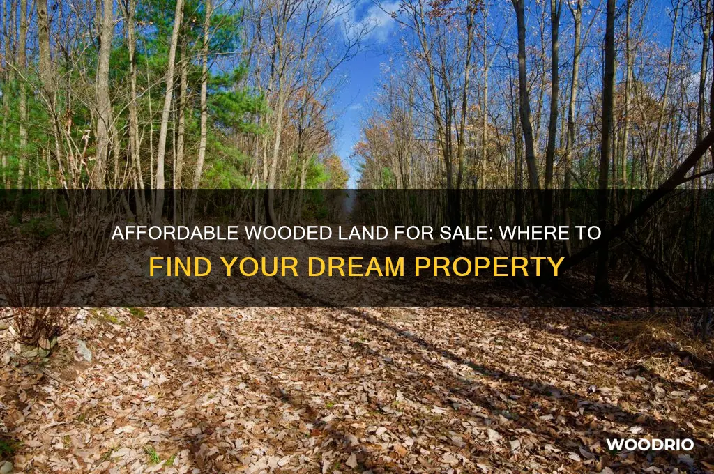 where can i buy cheap wooded land