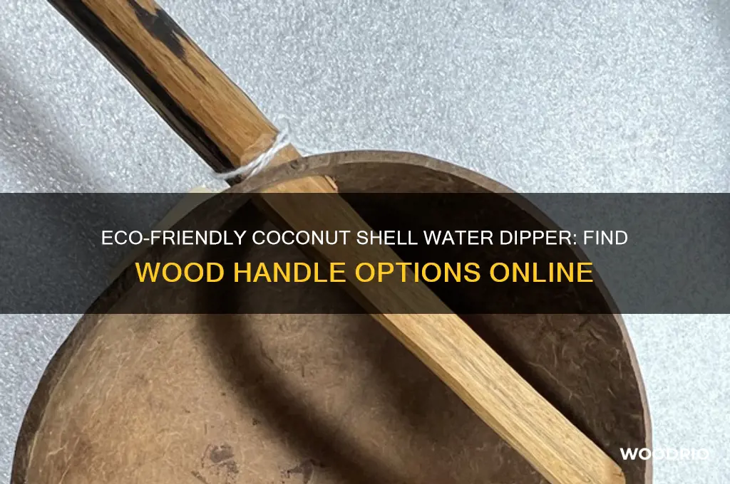 where can i buy coconut shell water dipper wood handle