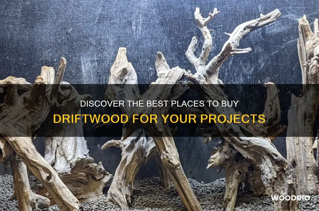 where can i buy drift wood
