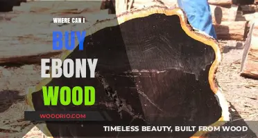 Where to Buy Ebony Wood: Top Sources and Tips for Quality