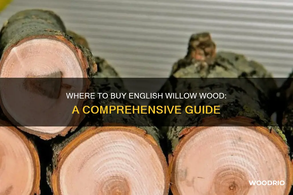 where can i buy english willow wood