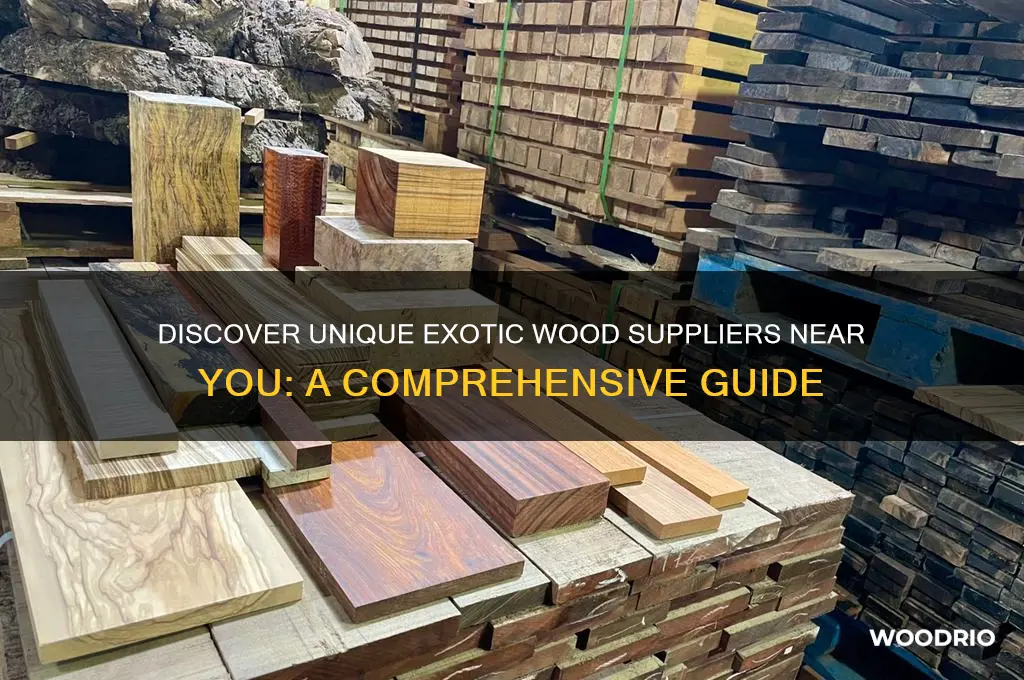 where can i buy exotic wood