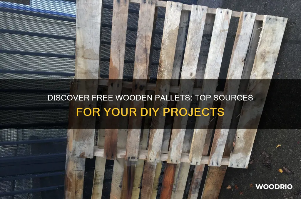 where can i buy free wooden pallets