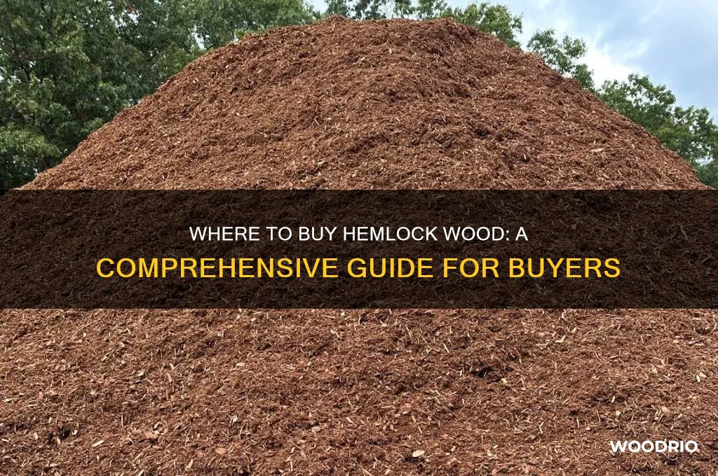 where can i buy hemlock wood