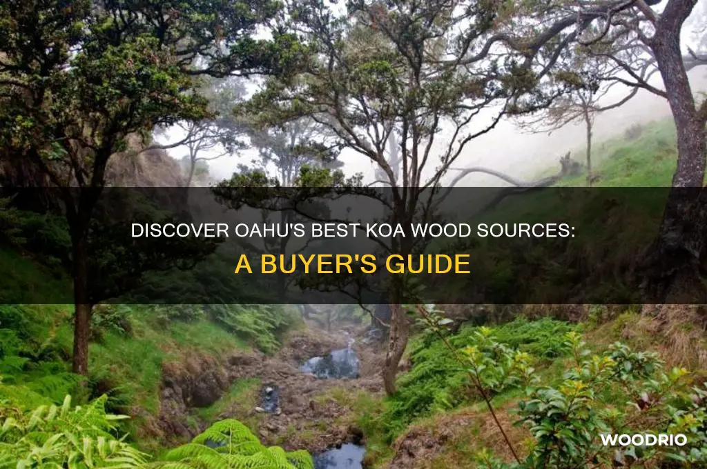 where can i buy koa wood on oahu