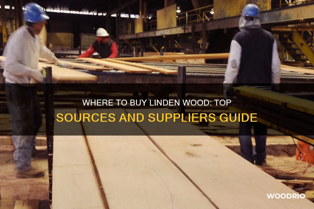 where can i buy linden wood