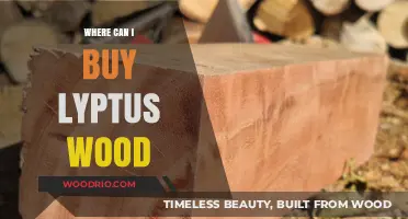 Where to Buy Lyptus Wood: Top Retailers and Online Sources