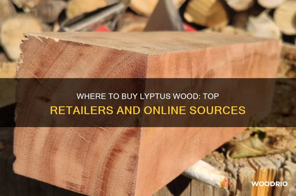 where can i buy lyptus wood