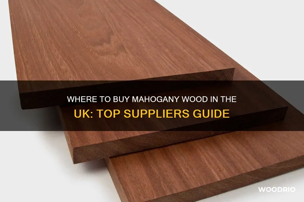 where can i buy mahogany wood uk