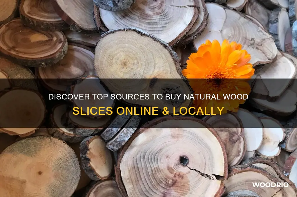 where can i buy natural wood slices