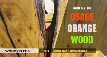 Where to Buy Osage Orange Wood: A Comprehensive Guide