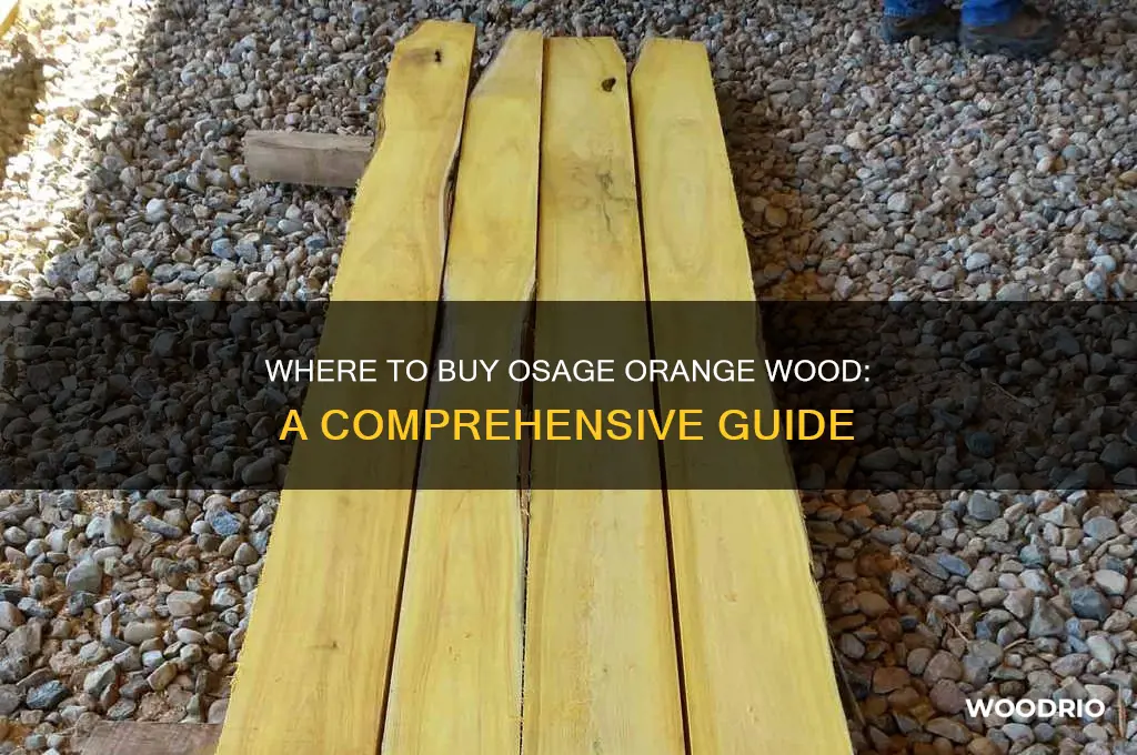 where can i buy osage orange wood