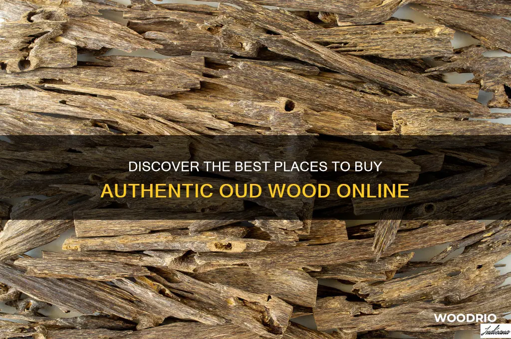 where can i buy oud wood