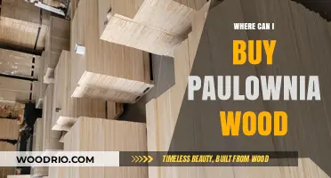 Where to Buy Paulownia Wood: Top Sources and Suppliers