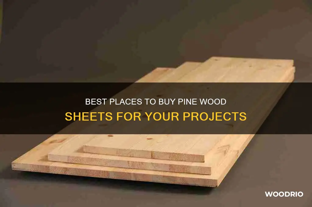 where can i buy pine wood sheets