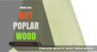 Where to Buy Poplar Wood: Top Suppliers and Online Stores