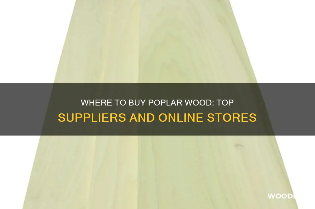 where can i buy poplar wood