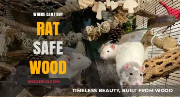 Safe Wood Options for Rats: Where to Buy Chew-Friendly Materials