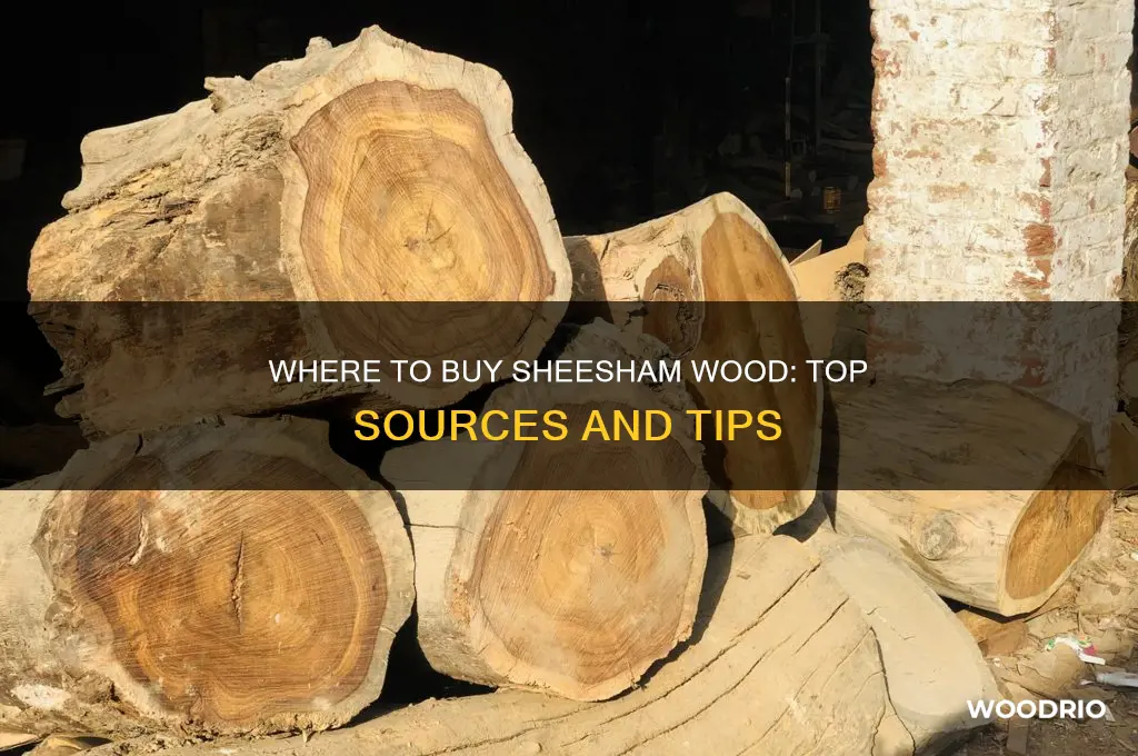 where can i buy sheesham wood