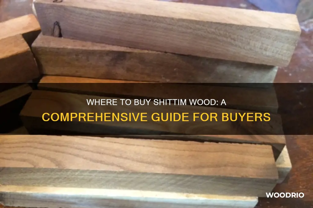 where can i buy shittim wood