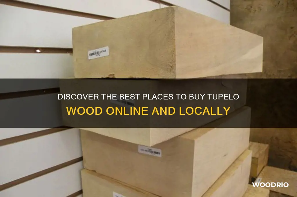 where can i buy tupelo wood