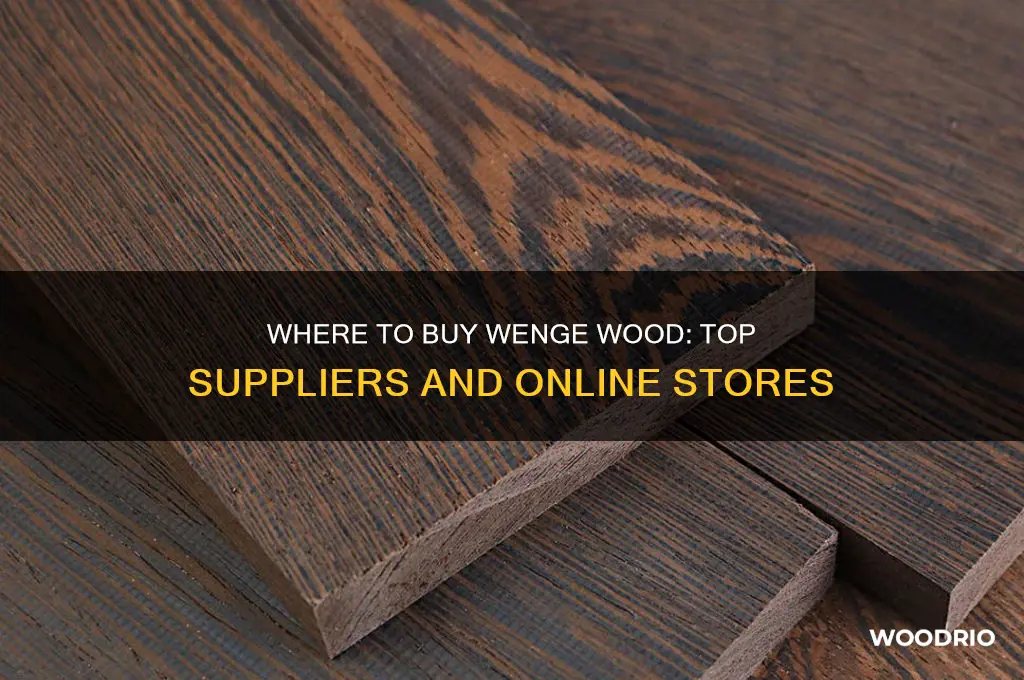 where can i buy wenge wood