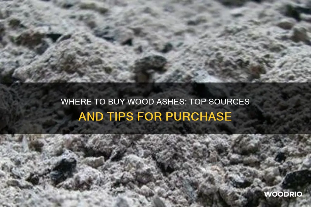 where can i buy wood ashes