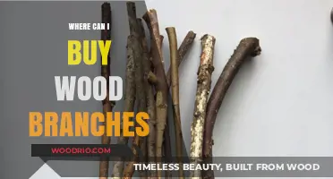 Where to Buy Wood Branches: Top Sources for Crafting and Decor