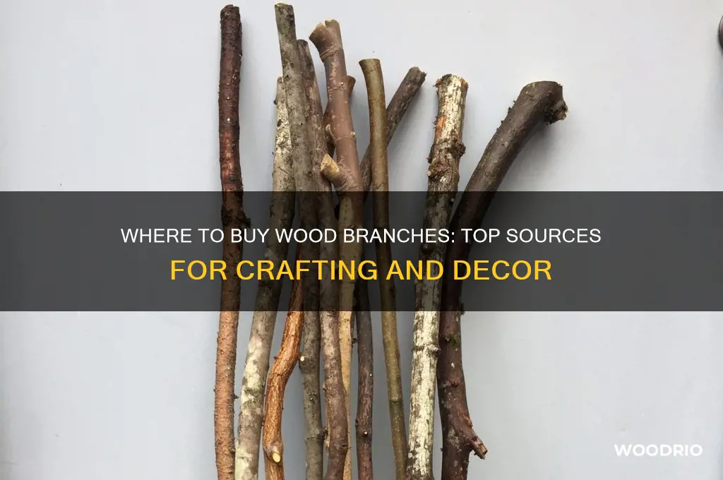 where can i buy wood branches