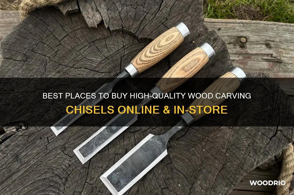 where can i buy wood carving chisels