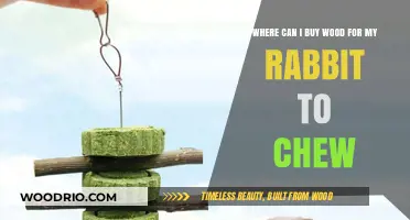 Best Places to Buy Safe, Chewable Wood for Your Rabbit