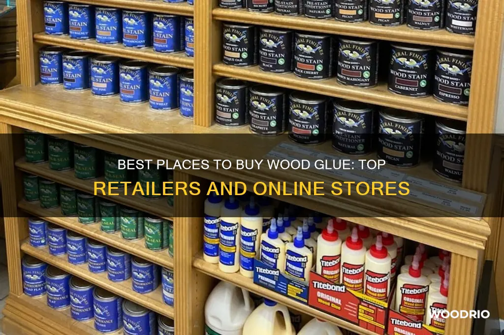 where can i buy wood glue