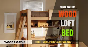 Best Places to Buy Stylish and Durable Wood Loft Beds