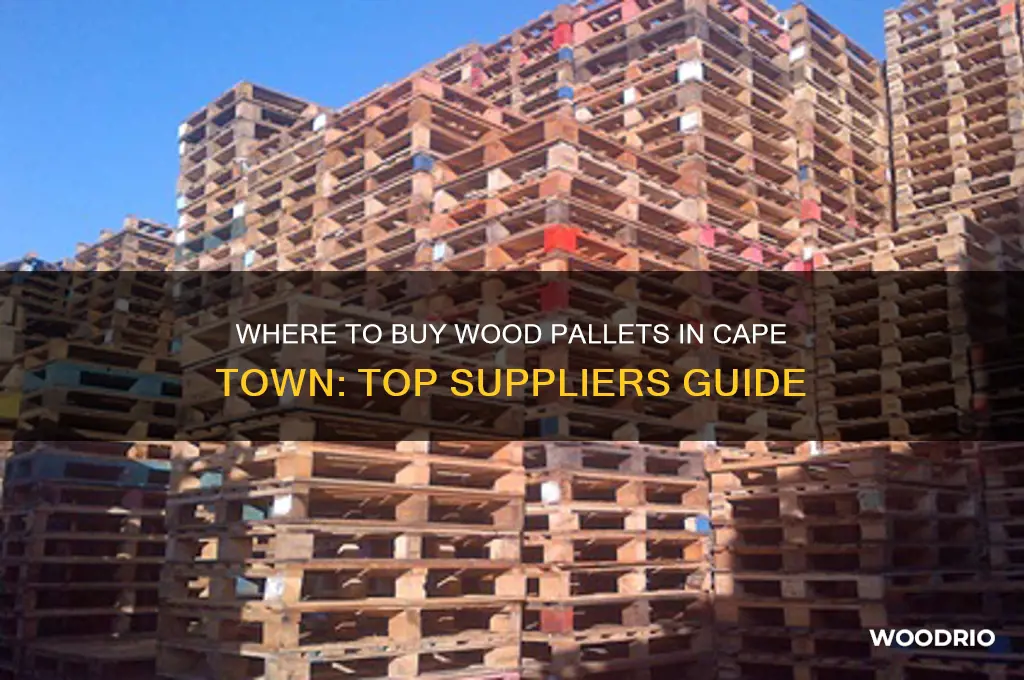where can i buy wood pallets in cape town