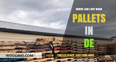 Where to Buy Wood Pallets in Delaware: Top Local Suppliers