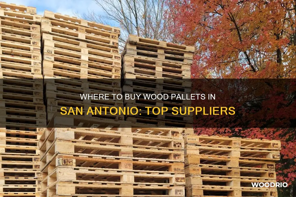 where can i buy wood pallets in san antonio