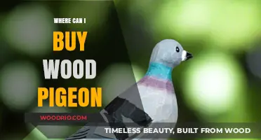 Where to Buy Wood Pigeons: A Comprehensive Guide for Enthusiasts