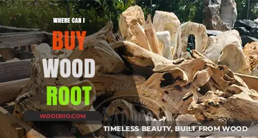 Discover the Best Places to Buy Unique Wood Root Pieces