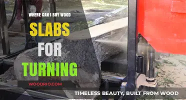 Best Places to Buy Wood Slabs for Turning Projects