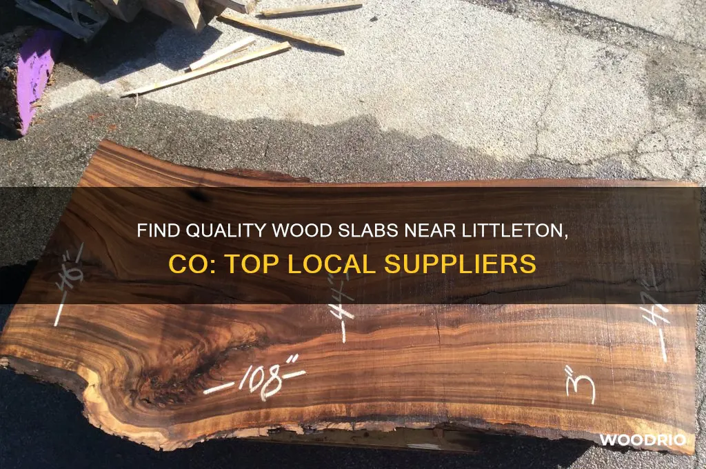 where can i buy wood slabs near littleton co