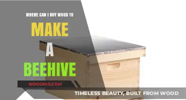 Best Places to Buy Wood for Building Your Own Beehive