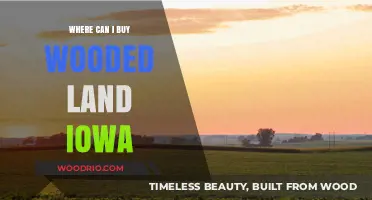 Discover Iowa's Best Wooded Land for Sale: Your Ultimate Buying Guide