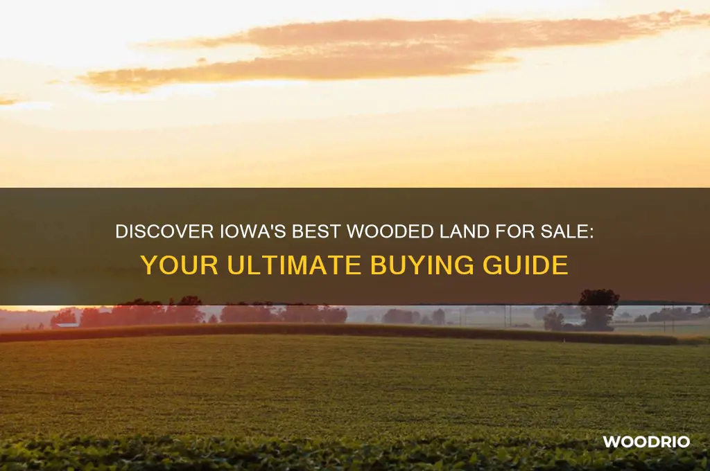 where can i buy wooded land iowa