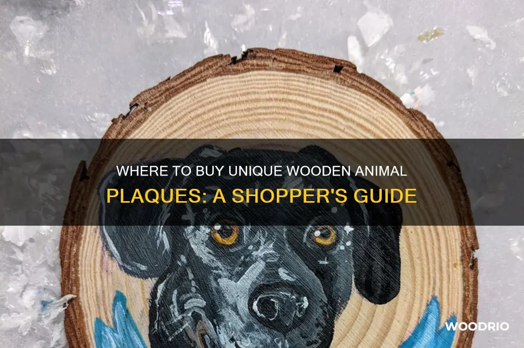 where can i buy wooden anamil plaques