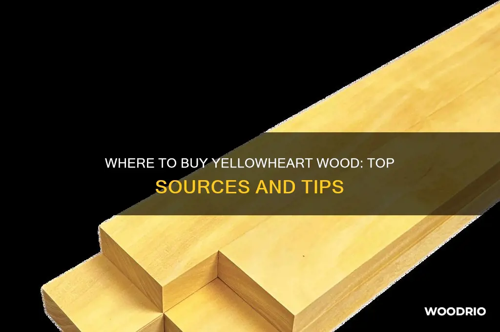 where can i buy yellowheart wood