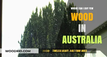 Where to Buy Yew Wood in Australia: Top Suppliers and Tips