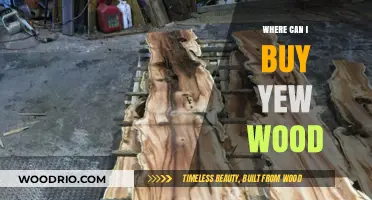 Where to Buy Yew Wood: Top Sources and Suppliers Guide